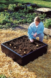 Garland Raised Bed