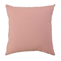 Glendale 18x18" Scatter Cushion Crystal Rose