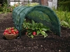 Haxnicks Easy Net Tunnel
