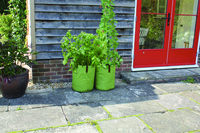 Haxnicks Oxford Fabric Planters Deep 2 Pack