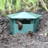 Haxnicks Slug Trap (2 Pack)