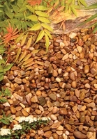 Kelkay Barley Stone Chippings - Bulk Bag