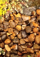 Kelkay River Pebbles - Bulk Bag