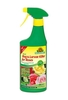 Neudorff PYROL Bug & Larvae Killer FOR ROSES - 500 ml