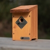 Riverside Woodcraft Multi Species 32mm Nestbox