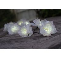 Smart Solar 10 White Roses White LEDs