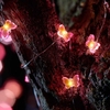 Smart Solar 30 Butterfly Firefly String Lights