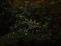 Smart Solar 50 Coloured LED Light String