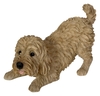 Vivid Arts Active Pups Golden Cockapoo (Size D)