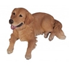 Vivid Arts Golden Retriever Lying - Size A