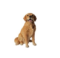 Vivid Arts Golden Retriever Sitting - Size A