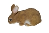 Vivid Arts Real Life Grazing Rabbits - Size D