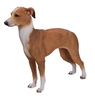Vivid Arts Real Life Greyhound - Size B