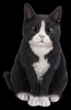 Vivid Arts Real Life Sitting Cat Black / White - Size B