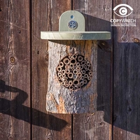 Wildlife World National Trust Bee Log