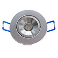 1W LED Ceiling Light with 1 LED in Round Feature