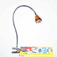 3W Modern Golden Clamp-On Lamp