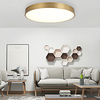 40cm LED Ceiling Light Basic Style Nordic Gold Flush Mount Lights Modern Brass Metal 110-120V 220-240V Christmas Decoration Lightinthebox