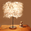 40W Comtemporary Table Lamp with 1 Light in Electroplated Finish