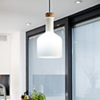 40W Modern Pendant Light with Glass Shade in Flask Design