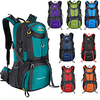 60 L Hiking Backpack Rucksack Breathable Straps - Lightweight Breathable Rain Waterproof Wear Resistance Outdoor Hunting Hiking Climbing Nylon Lake Green Black Purple / Yes Lightinthebox