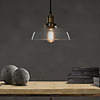 60W Classical Pendant Light with Transparent Glass Shade in Factory Style
