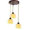 60W E27 Nature Inspired Pendent Lights
