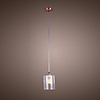 60W Modern Artistic Pendant with Glass Shade