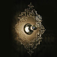 60W Modern Ceiling Light with Plastic Arabesquitic Plate and Cool Reflection Shade(Dual-Use as Wall Light)