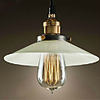 60W Nature inspired Contemporary Pendant with Pure White Metal Shade