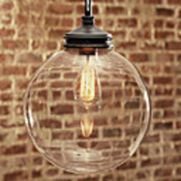 60W Nature inspired Contemporary Pendant with Transparent Globe Glass Shade