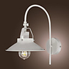 60W Nature Inspired Iron Wall Light