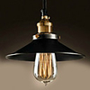 60W Nature inspired Modern Pendant with Mysterious Black Metal Shade