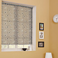 Artistic Bug Roller Shade