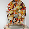 Artistic Colorful Seashell Pattern Toilet Seat