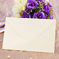 Beige Envelope - Set of 12