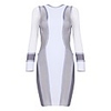 Colors Block Mesh Long Sleeve Bodycon Bandage Dress