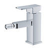Contemporary Swivel Spray Brass Bidet Faucet