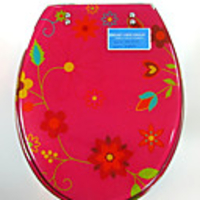 Country Colorful Abstract Floral Pattern Toilet Seat
