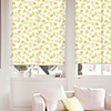 Country Ginkgo Biloba Pattern Roller Shade