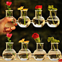 Creative Connected Glass Vase Centerpiece