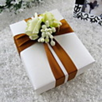 Elegant Favor Box with Chocalote Ribbon Sash (Set of 30)