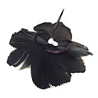 Elegant Feather With Rhinestone Women