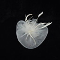 Elegant Net With Feather Women