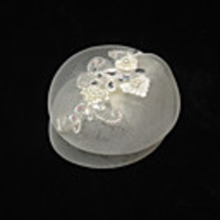 Elegant Net With Pearl/Rhinestone Women