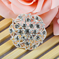 Elegant Ornamental Accessory - Set Of 12