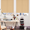 Elegant Solid Roller Shade