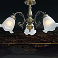 European Style Idyllic 3 Down Light Chandelier With Floriform Shade
