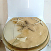 Fancy Stylish Starfish Pattern Toilet Seat