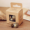 Flower Design Bronze Thumbtack - Set of 20 Pieces (10 Big, 10 Small)